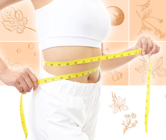 Fat Dissolving category